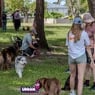Urban Dog Training - Pic 7