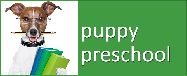 Ballina Veterinary Hospital Vet Ballina Yellow Pages