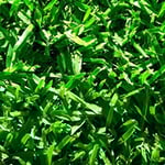 Melbourne Turf Supplies. - Pic 8
