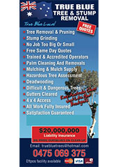 Tree Removal Sunshine Coast