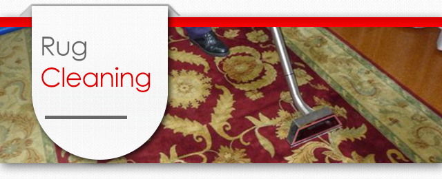 Stain Busters Carpet Cleaning & Pest Control - Promotion 1