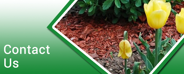 Apollo Landscaping Supplies - Promotion 1