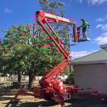 Rob Jamieson Tree & Stump Removal - Pic 2