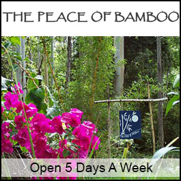 The Peace Of Bamboo - Promotion