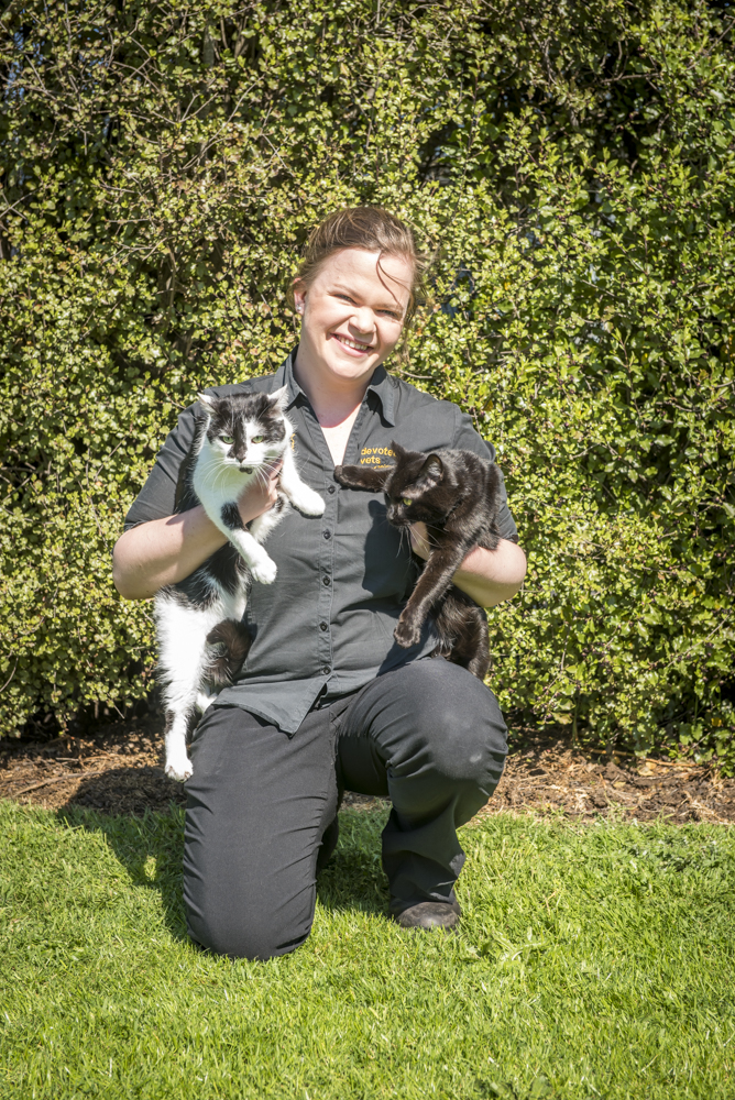 Devoted Vets Vet 12 Normanby St, Warragul VIC 3820 Yellow Pages®