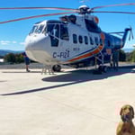 Paton Air Helicopters - Pic 1