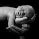 New Born Baby