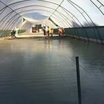 Bligh Park Concreting - Pic 8