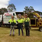 Rob Jamieson Tree & Stump Removal - Pic 1