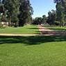 Lakeside Turf - Pic 4