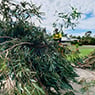 Cut Above Tree Care (Aust) Pty Ltd - Pic 7