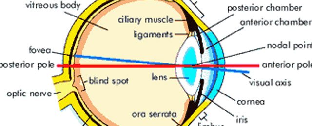 Target Optical In Apple Valley Mn 15560 Pilot Knob Rd