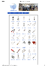 View PDF