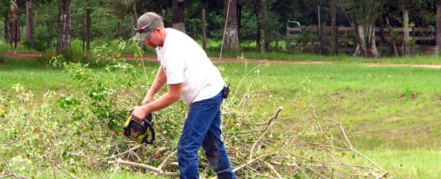 Brady Tree Service Pty Ltd - Promotion 2