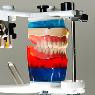 The Denture Clinic - Pic 6