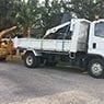 MSZ Tree Lopping Service - Pic 2