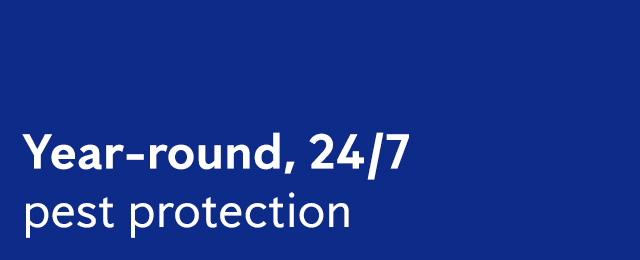 Flick Pest Control Pest Control Swan Reach Yellow Pages