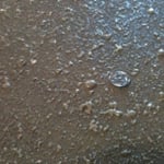 Butler's Epoxy Flooring P/L - Pic 9