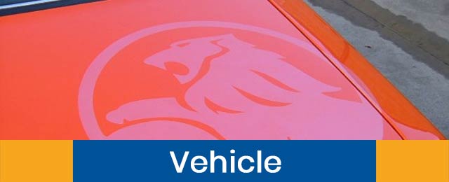 Emu Signs - Promotion 1