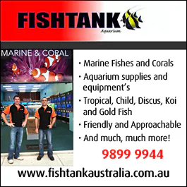 Fishtank Aquarium - Promotion