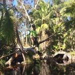 http://www.waratahprofessionaltreecare.com.au/