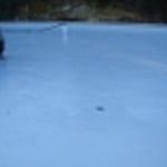 Allied Waterproofing Pty Ltd - Pic 5
