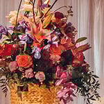 Finney Funeral Services - Pic 7