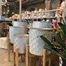 Wholesale Plants & Products Pty Ltd - Pic 7