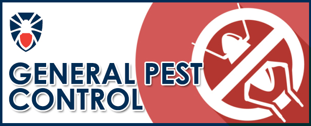 McKenna Pest Control (Qld) Pty Ltd - Promotion 1