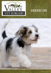 Desexing Your Pet