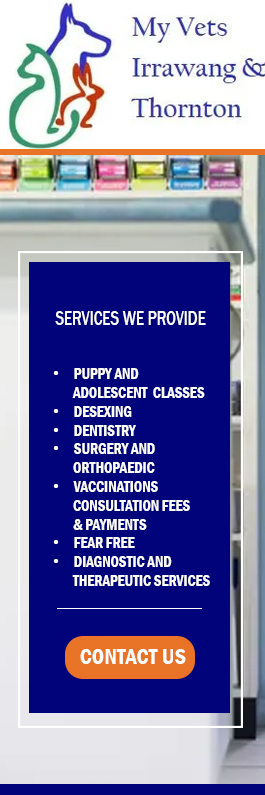 My Vets Thornton - Promotion