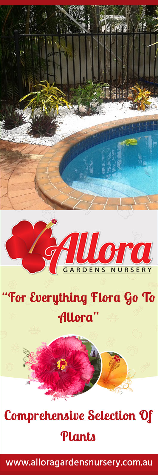 Allora Gardens Nursery - Promotion