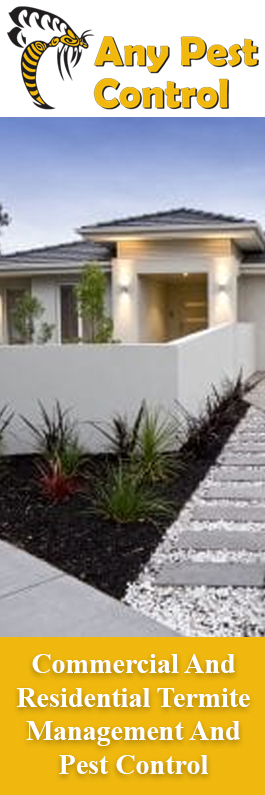 Any Pest Control Pty Ltd - Promotion