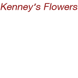 Kenney's Flowers - logo