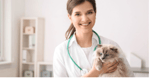 The Veterinary Hospital North - Pic 3