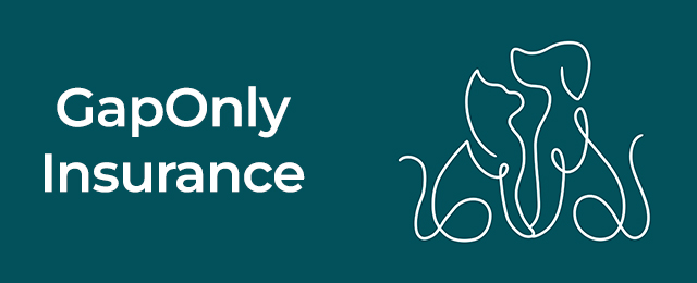 Grange Veterinary Clinic - Promotion 2