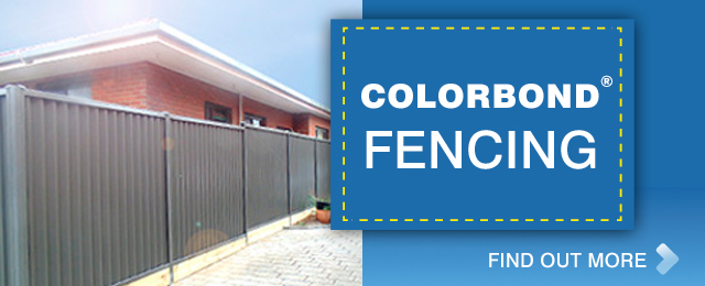 Amazing Fencing - Promotion 3