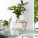 Laminex DiamondGloss