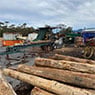 Firewood Devils - Pic 1