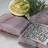 M & G Seafood Wholesalers - Pic 9