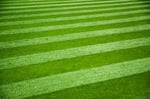 All Shades of Green