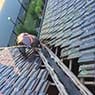 Stormproof Roofing - Pic 10
