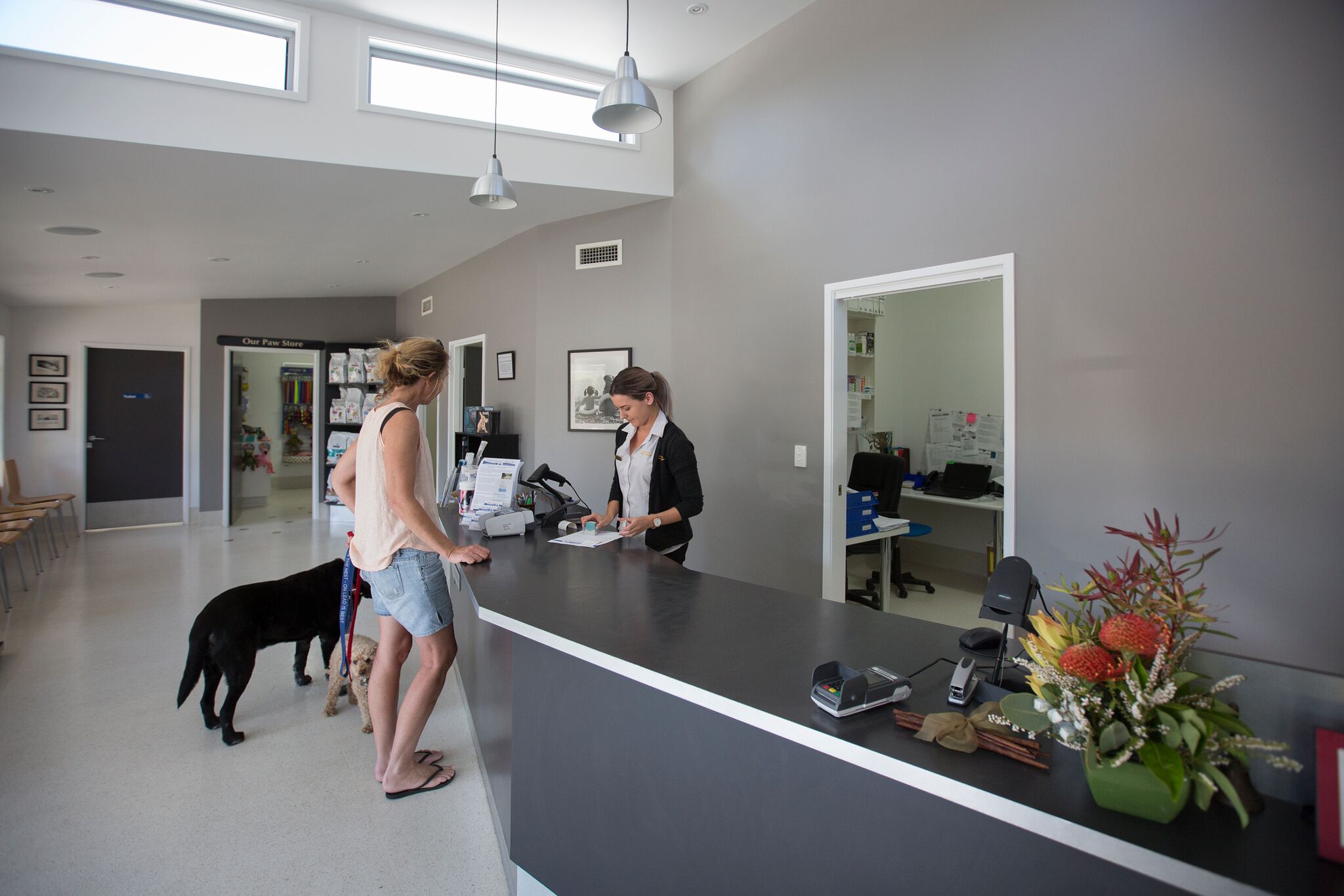 North Nowra Veterinary Hospital Vet North Nowra Yellow Pages®