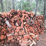 Active Tree Fellas - Pic 1