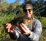 Jet Cycles & Compleat Angler - Pic 3