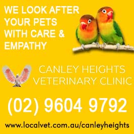 Canley Heights Veterinary Clinic - Promotion