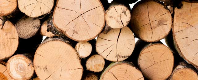 Brady Tree Service Pty Ltd - Promotion 1