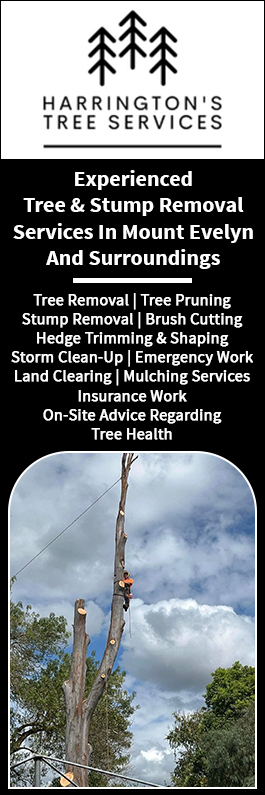 Harringtons Tree Services - Promotion