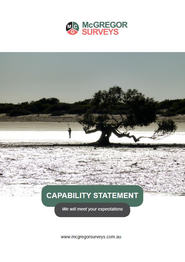Capability Statement