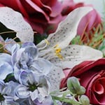 Macarthur Lady Funerals - Pic 6